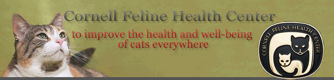What is the prognosis for feline diabetes?